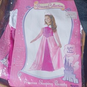 Princess Sleeping Beauty Costume